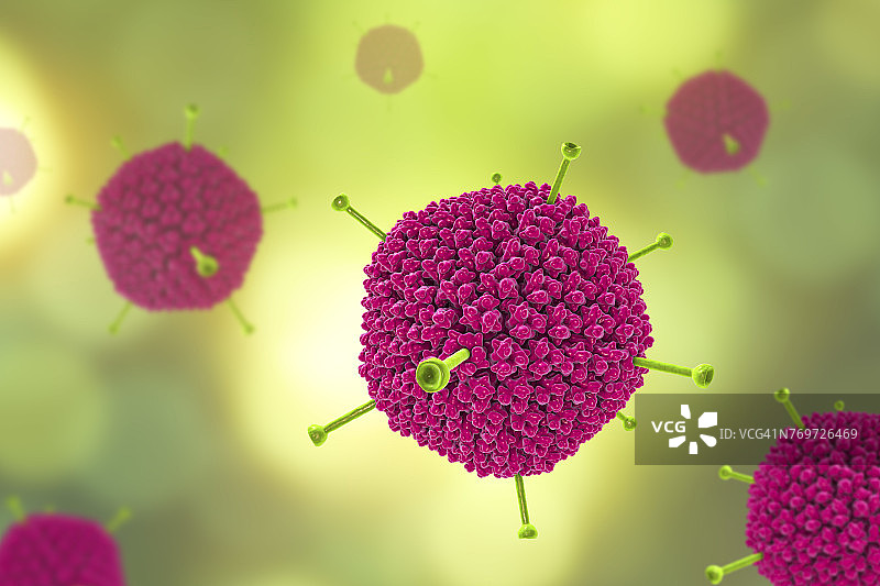 腺病毒图示图片素材