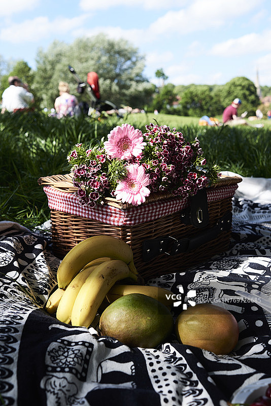 夏季公园里的健康野餐图片素材