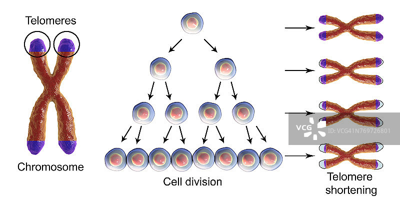 原子核分裂，图示图片素材
