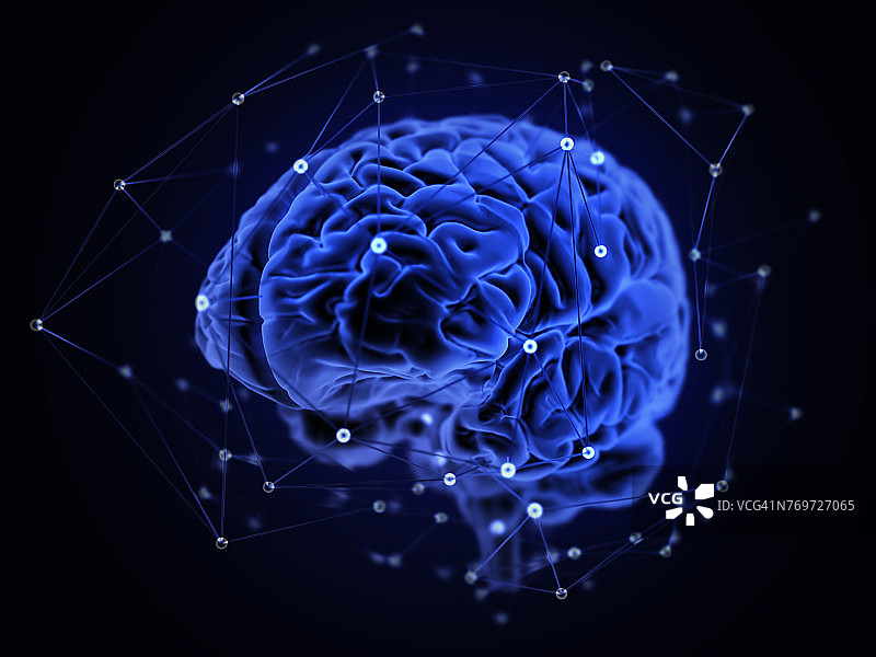 人脑网络插图图片素材