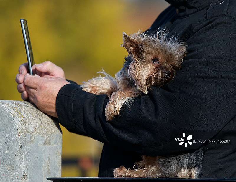 男子与约克夏犬自拍图片素材