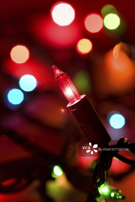 圣诞灯串上的灯泡特写。图片素材