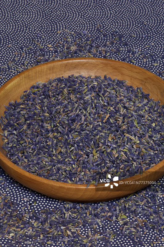 薰衣草花图片素材