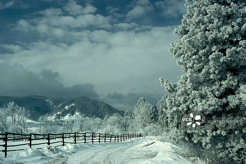 冬日乡间小路图片素材