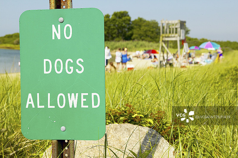 海滩边的禁止遛狗标志图片素材