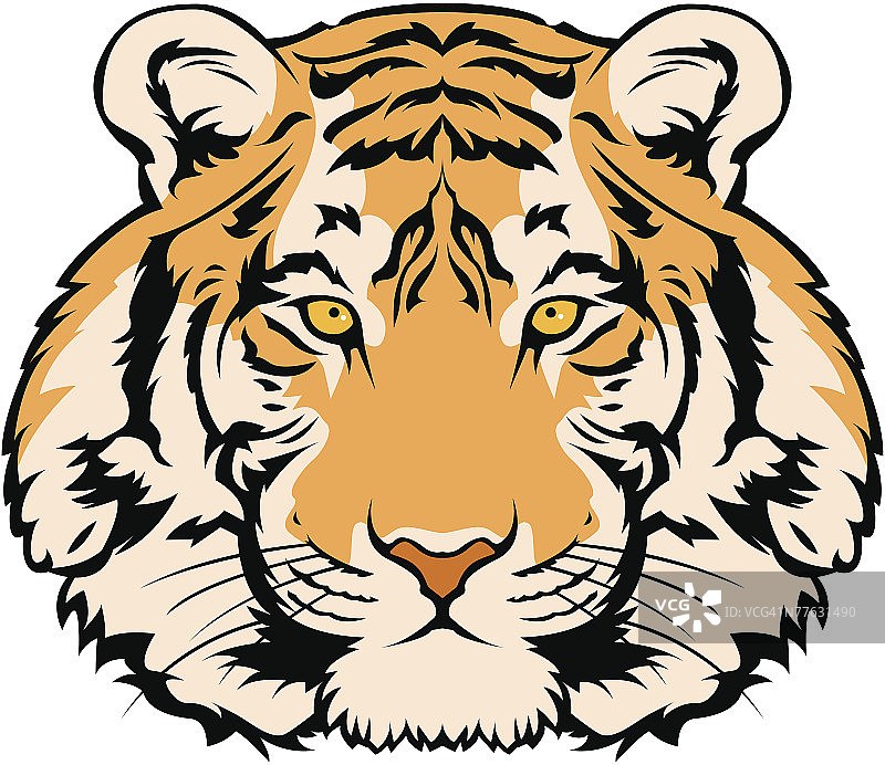 老虎图片素材