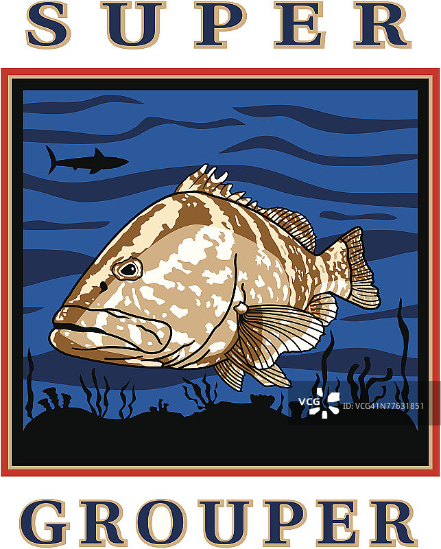 石斑鱼图片素材