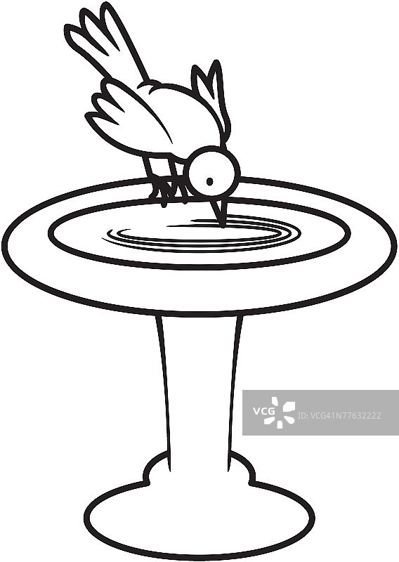 鸟和鸟浴图片素材