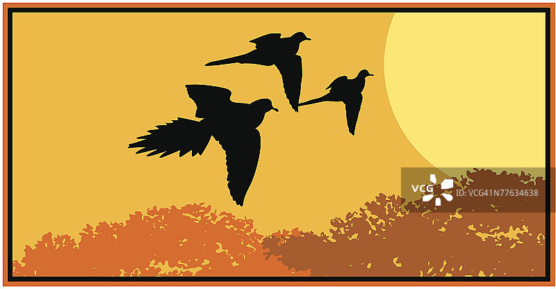 飞行中的野鸡图片素材