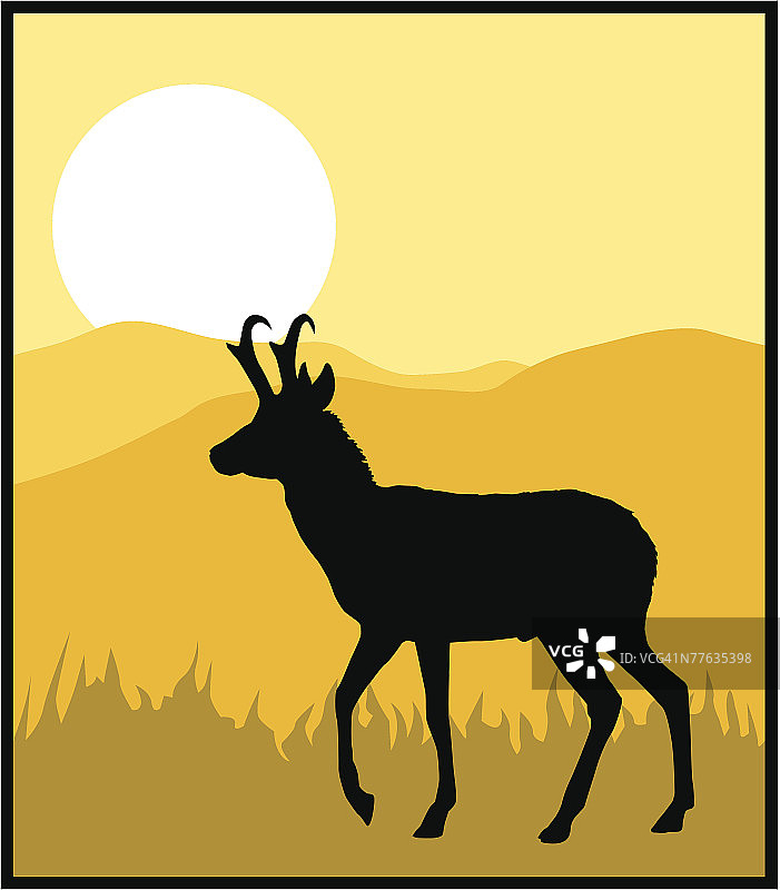 自然环境中的鹿轮廓图片素材