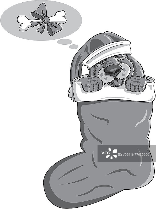 在长筒袜里的幼犬图片素材