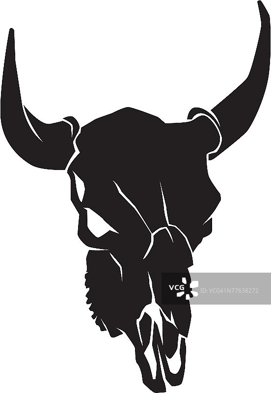 带角的牛头骨图片素材