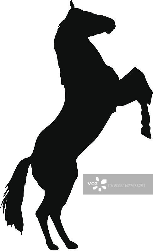 用后腿站立的马图片素材