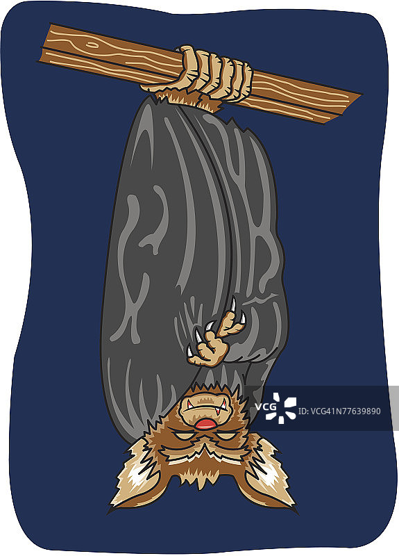 倒挂的蝙蝠图片素材