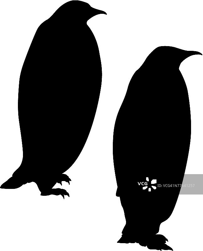 企鹅剪影图片素材
