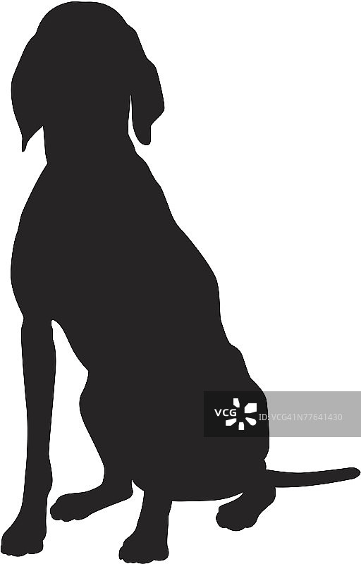 魏玛犬轮廓图片素材