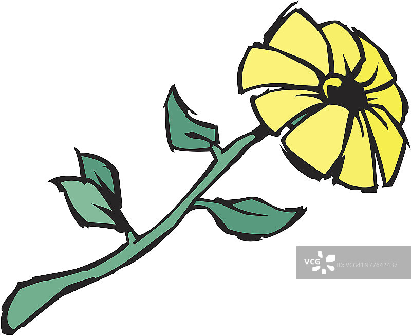 花图片素材