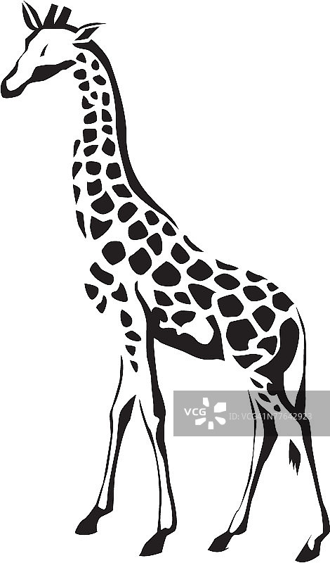 长颈鹿图片素材