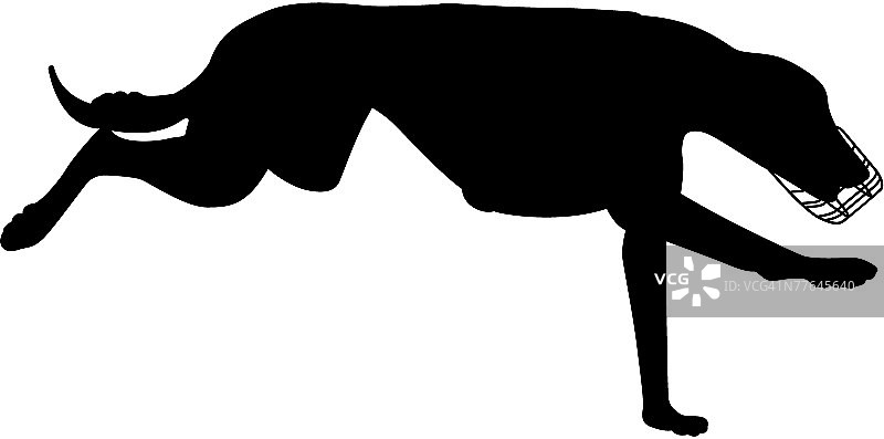 灰狗赛跑剪影图片素材