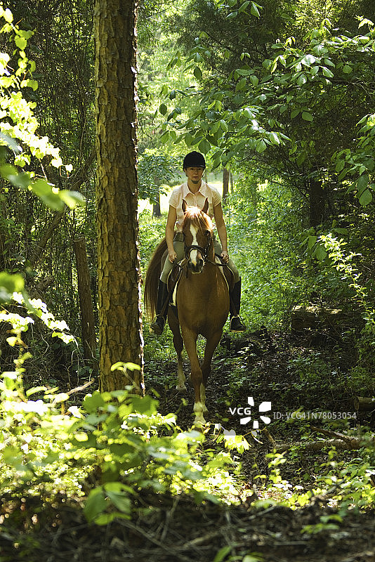 骑马的女人图片素材