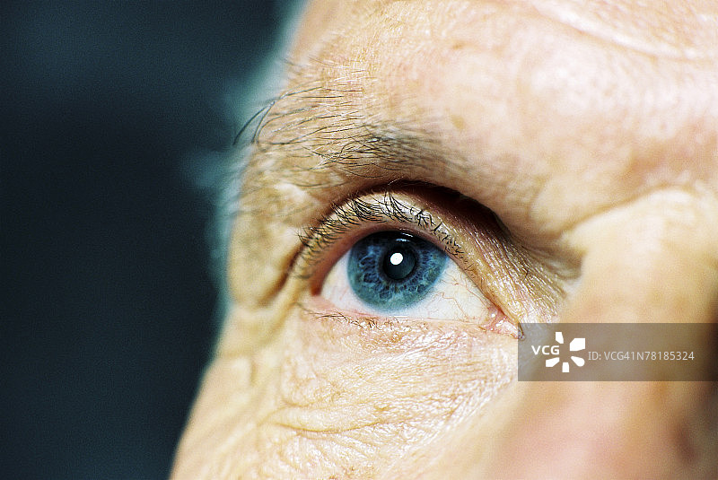 眼睛特写图片素材