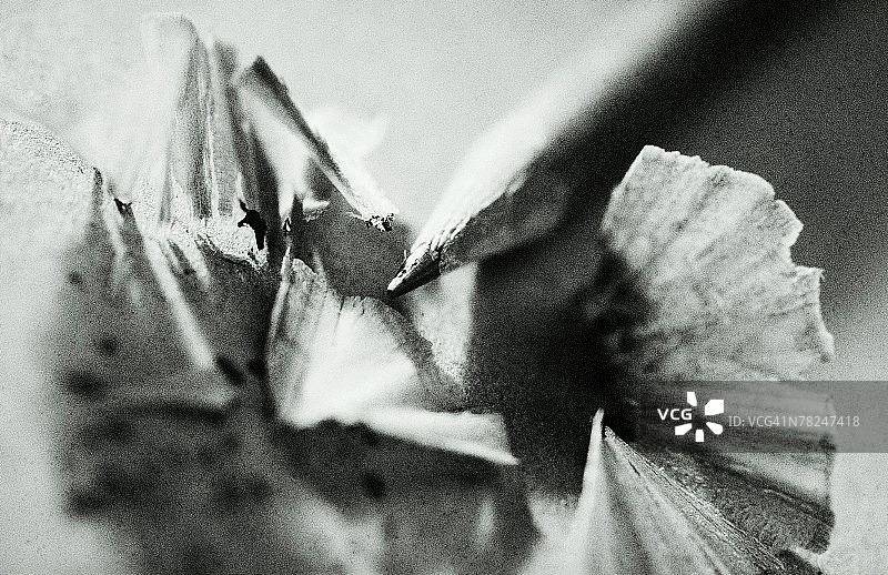 带铅笔屑的铅笔图片素材