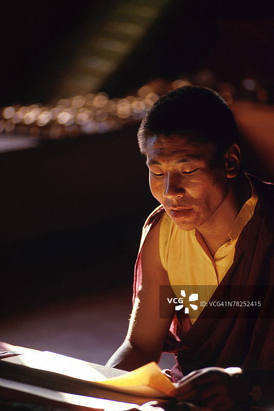 男人，阅读图片素材