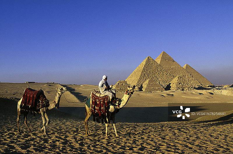 在埃及吉萨大金字塔骑骆驼的人图片素材