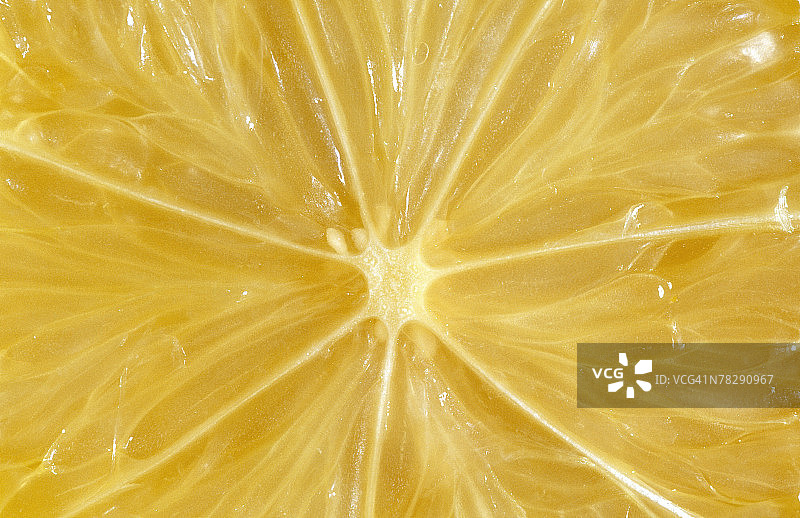 橙子特写图片素材