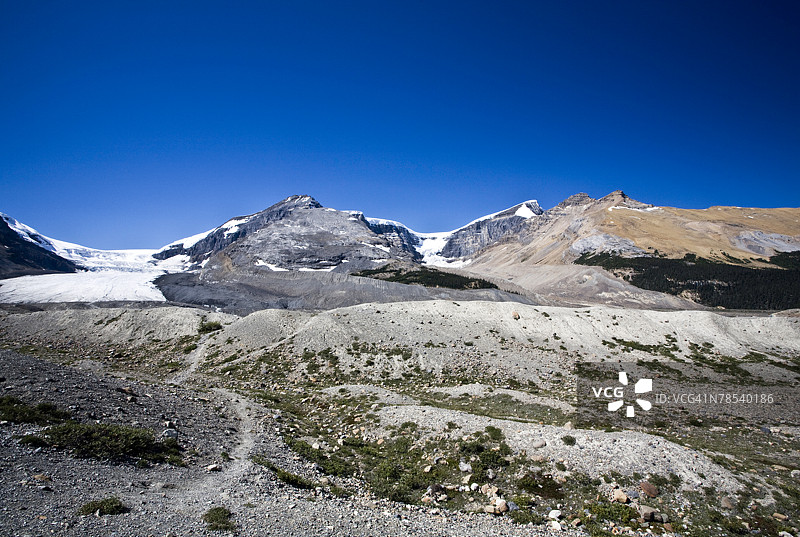 加拿大阿尔伯塔省的阿萨巴斯卡冰川正在后退。图片素材