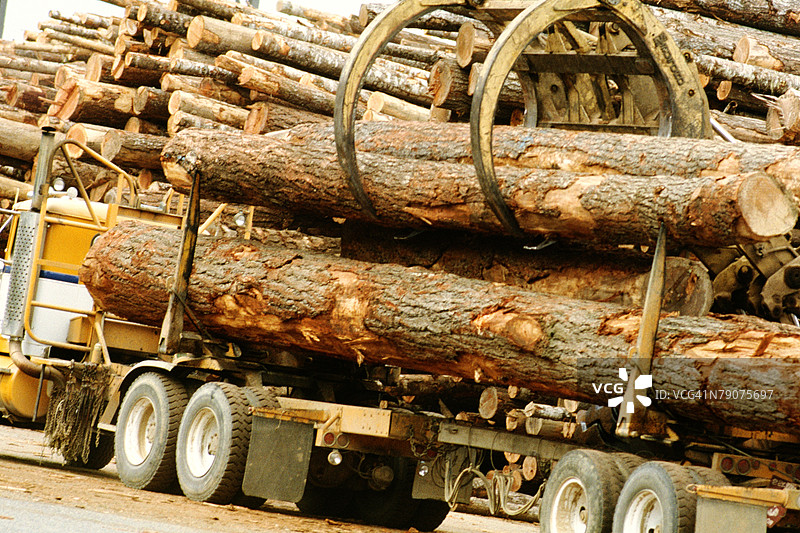 从卡车上卸下的木材，俄勒冈州里兹波特，美国图片素材