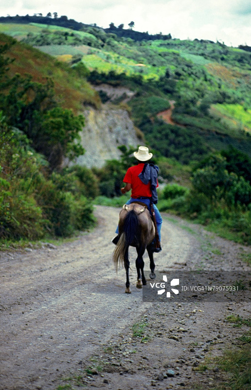 骑马的男子背影图片素材