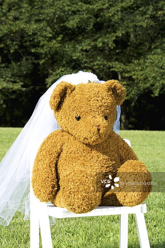 坐在椅子上的戴面纱的泰迪熊图片素材