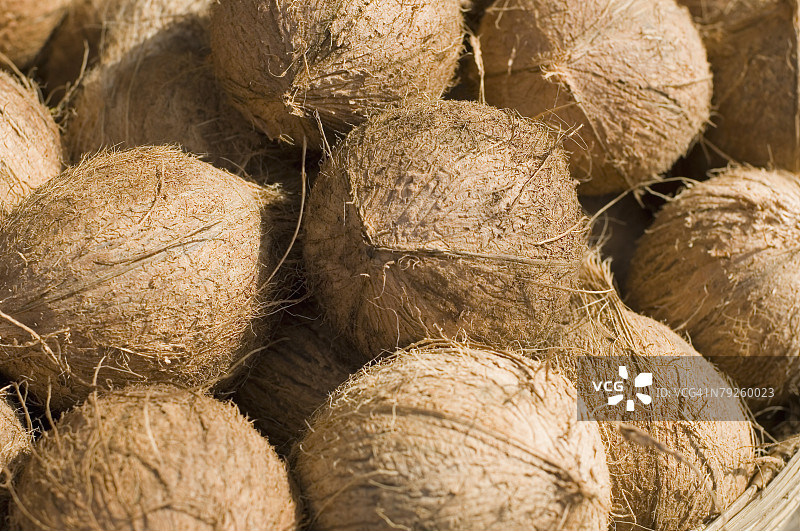 椰子特写图片素材