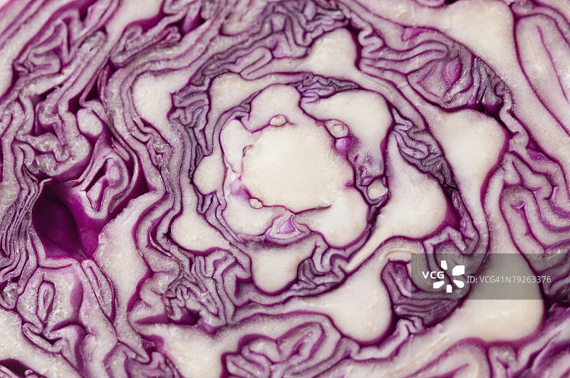 卷心菜横截面特写图片素材
