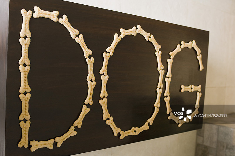 黑板上用狗饼干拼成的“狗”字特写图片素材