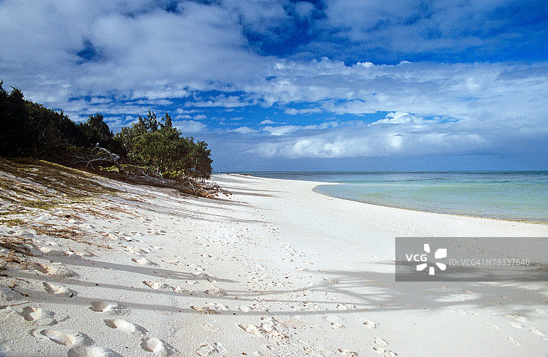 苍鹭岛海滩图片素材