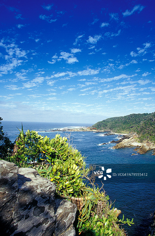 南非东开普省：齐齐卡马国家公园的暴风雨河口图片素材