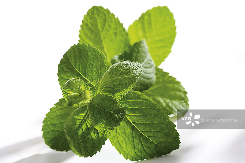 菠萝薄荷图片素材
