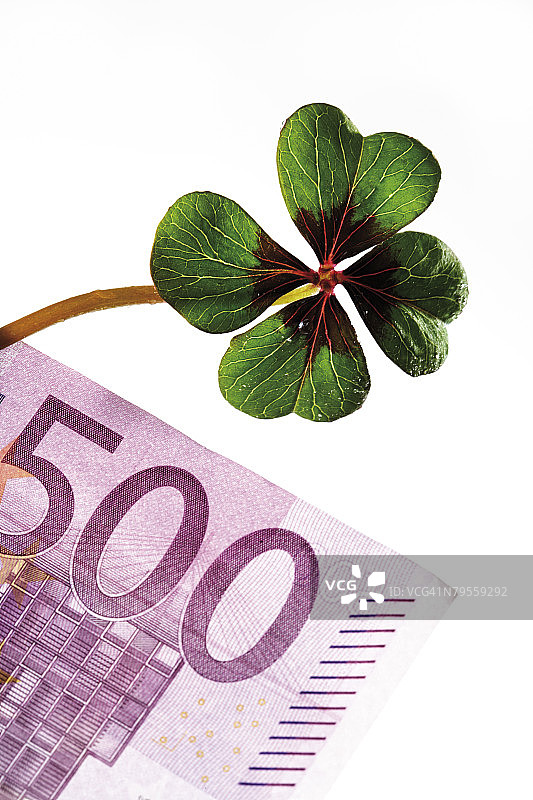 500欧元纸币上的四叶三叶草特写图片素材