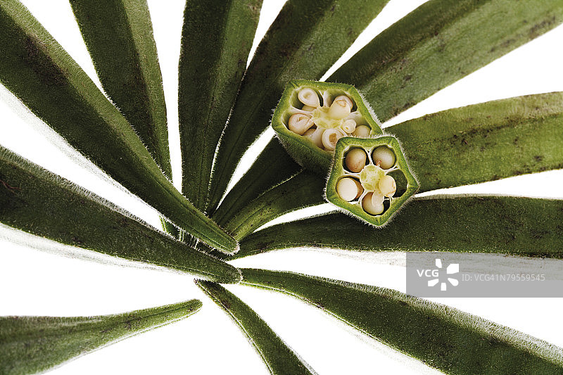 特写：秋葵图片素材