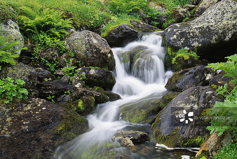 瑞典萨勒克国家公园，山涧图片素材