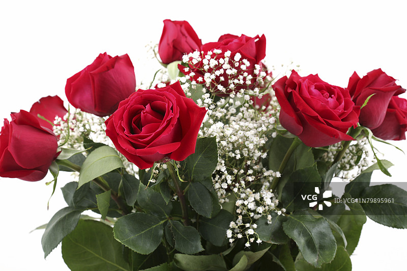 玫瑰花束。图片素材