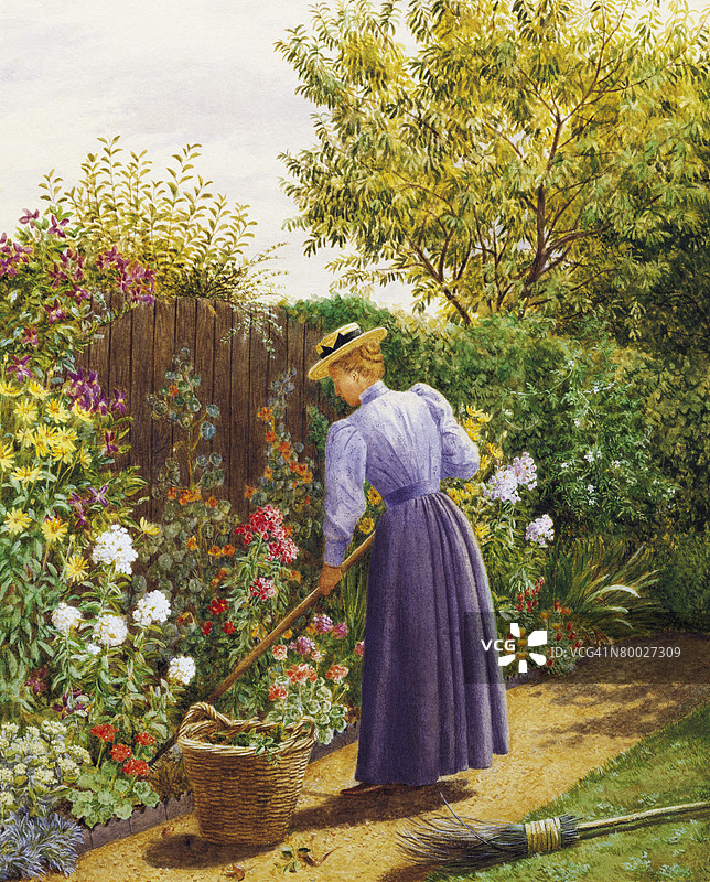 花园中的一天图片素材