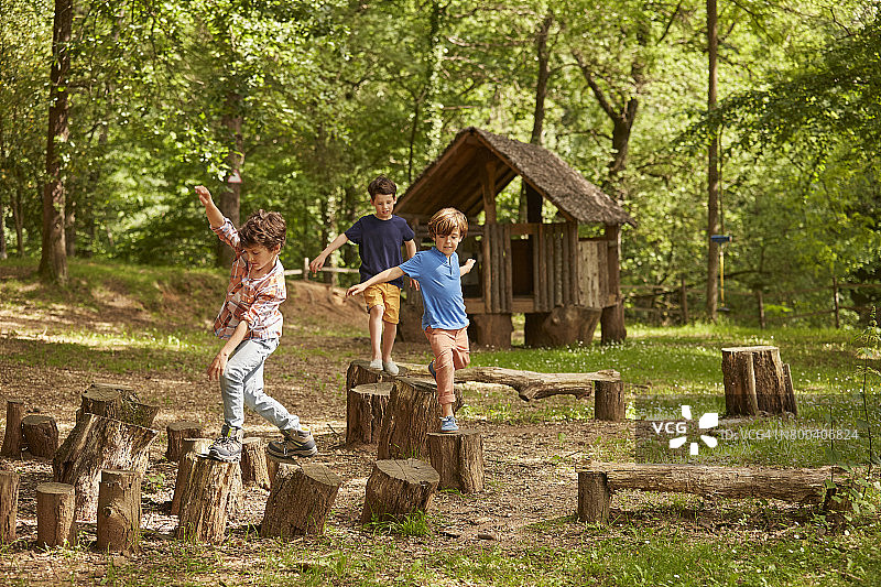 朋友们在森林里的树桩上玩耍图片素材