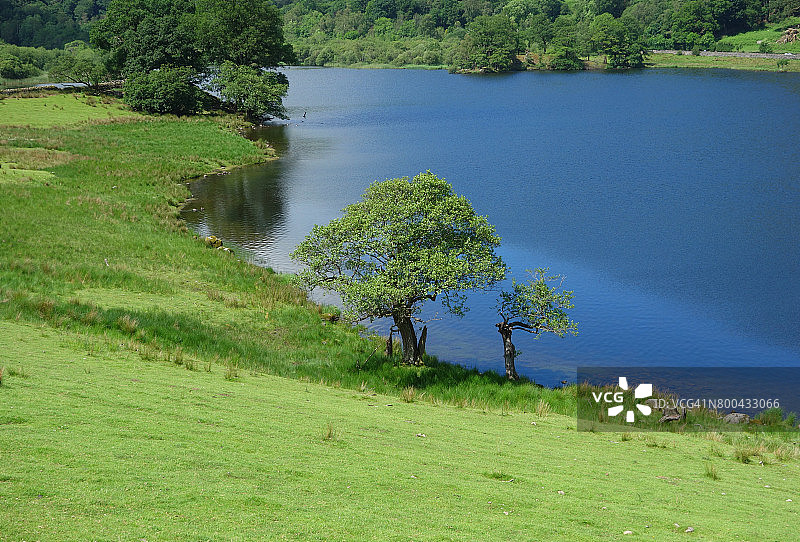 赖德尔湖图片素材