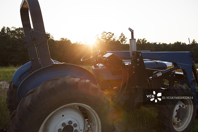在阿拉巴马州的农场里图片素材