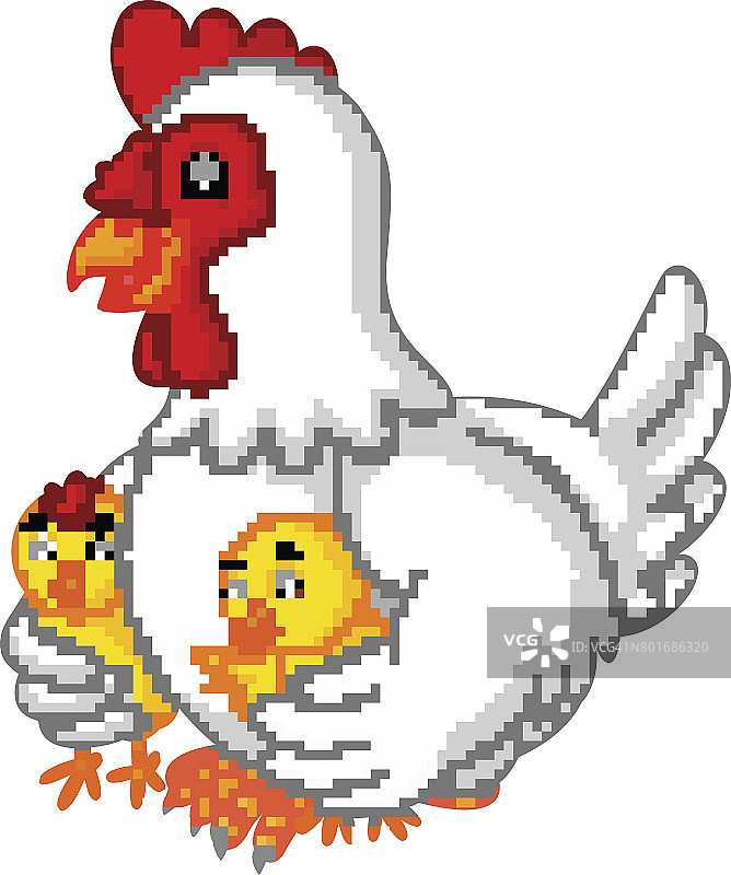 母鸡和它的雏鸡图片素材