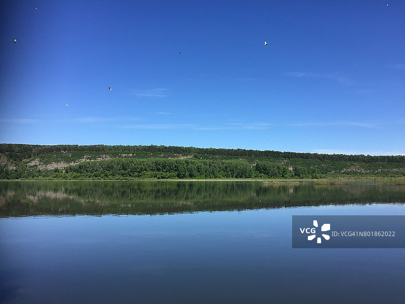 西伯利亚托木河上的白色蝴蝶图片素材