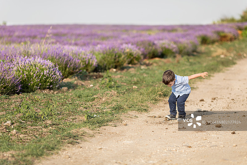 在薰衣草田旁踩土的男孩图片素材